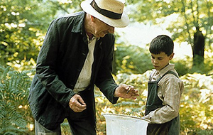 la lengua de las mariposas