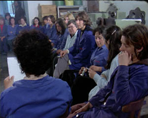 Numax presenta... 1979